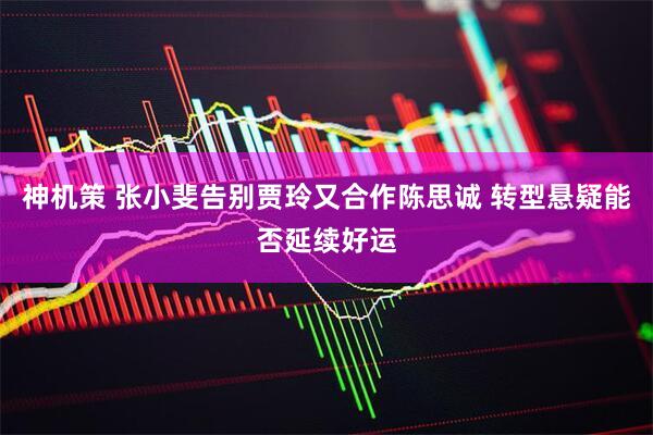 神机策 张小斐告别贾玲又合作陈思诚 转型悬疑能否延续好运