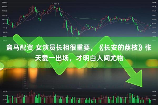 盒马配资 女演员长相很重要，《长安的荔枝》张天爱一出场，才明白人间尤物