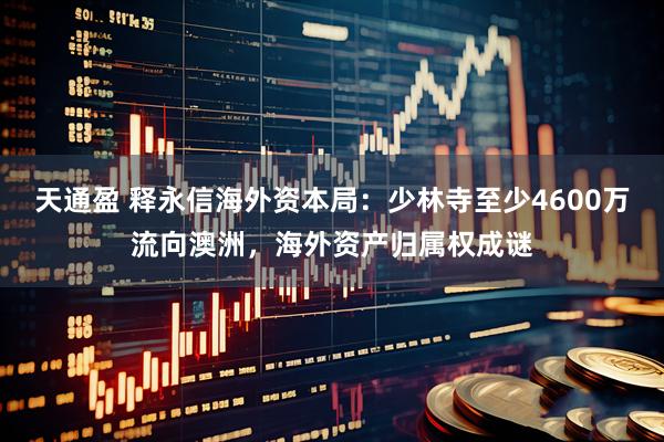 天通盈 释永信海外资本局：少林寺至少4600万流向澳洲，海外资产归属权成谜