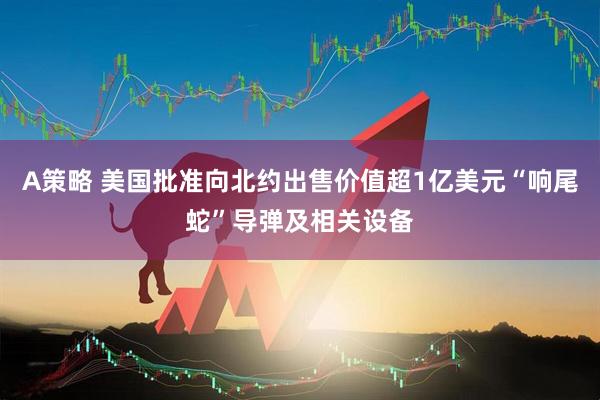 A策略 美国批准向北约出售价值超1亿美元“响尾蛇”导弹及相关设备