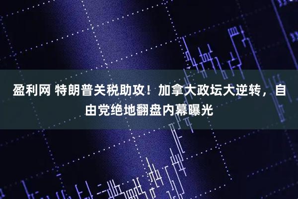 盈利网 特朗普关税助攻！加拿大政坛大逆转，自由党绝地翻盘内幕曝光
