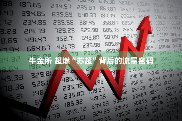 牛金所 超燃“苏超”背后的流量密码